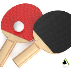 Table tennis bats and ping pong ball