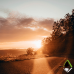 Apex Blog Streamlining